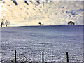Snow-covered Fields near pant Glas Farm in LL24 0HN