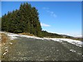 Junction of tracks in the forest above Dunoon in PA23 7BJ