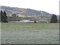 Pasture in Strath Tay in PH9 0NW