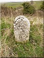 Old Boundary Marker east of Friar Waddon, Weymouth Parish in DT3 4EP