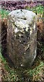 Old Milestone by Green Riggs, Swinton Parish in TD11 3JN