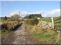 Approach road to Nether Tillygarmond in AB31 6NT
