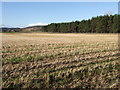 View NW across stubble in AB31 6LX