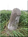Old Milestone by the A934, Farnell Parish in DD9 6UF