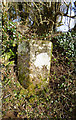 Old Boundary Marker east of Felldown Head, Dunterton Parish in PL19 0QR