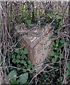 Old Milepost by the B4348, Asper Wood, Dorstone Parish in Golden Valley North Ward