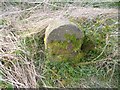 Old Milestone by the B4427, Old Gloucester Road, Frampton Cotterell Parish in BS36 1RU