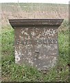 Old Milepost by the A36, Warminster Road, Stapleford in SP2 0PS