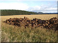 Manure, ready to spread in AB31 6LX