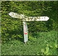 Old Direction Sign - Signpost by Dores Lane, Hursley Parish in SO51 0QL