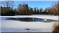 Partly frozen boating lake at Rouken Glen Park in G46 6RH