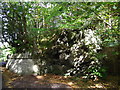 Limestone outcrop on the Clywedog Trail in Plas Power Woods in Coedpoeth Community