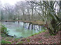 Pond in Whomerley Wood in SG1 1TX