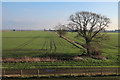 Fields by Ouse Washes in CB6 2EG