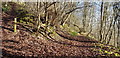 Forest Access Track, Ridge Hanger in GU32 1DU