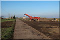 Sugar beet loader by Main Drove in CB6 2ES