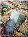 Old Milestone by the A823, Muiredge in PH3 1NU