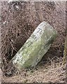 Old Milestone by the A30, Winterslow parish in SP5 1BT