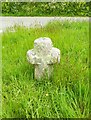 Old Wayside Cross by Trehan Villa, Saltash parish in PL12 4QQ