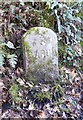 Old Milestone north of Loxhore Bridge in EX31 4TE