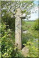 Old Wayside Cross by Horsepool Lane, Sheviock parish in PL11 3EN