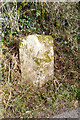 Old Boundary Marker west of Felldown Head, Bradstone parish in PL19 0QR