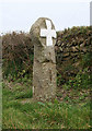 Old Wayside Cross by the A39, Whitecross, St Breock parish in PL27 7JW
