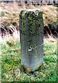Old Milestone by the A513, Tamworth Road, Elford in B79 9BU