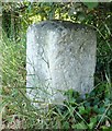 Old Milestone by the B197, London Road, Weston parish in SG7 6FH