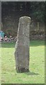 Old Waymarker Stone off the A52, in open field, Cotton parish in ST10 3EX