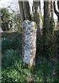 Old Wayside Cross by the A391, Lockengates, Luxulyan parish in PL26 8RU