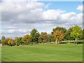 The avenue of trees at Chatelherault Country Park in ML3 7TU