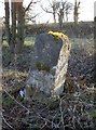 Old Milestone by the A342, Andover Road, Fyfield parish in SP11 9PF