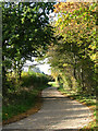 Looking west along Frog's Hall Lane in NR20 4NX