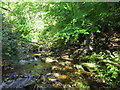 River Clywedog in Plas Power Woods in LL11 3TH