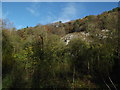 Limestone outcrop in Loggerheads Country Park in CH7 5SG