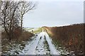 Public bridleway, Ellington in Ellington (Northumberland)