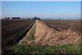 Reedy ditch, North Fen in CB6 2TZ