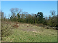 Hillside south of Dane O'Coy's Road in CM23 2GH
