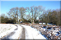 Snowy Road, Maidensgrove Common in RG9 6EZ