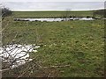 Wetland on Mynydd Portref in CF72 9NG