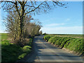 Road towards Wicken Bonhunt in CB11 3UH