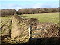 Field boundary near Barrasford in NE48 4BX