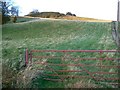 Field gate in KY14 6ET