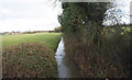Stream along edge of field in IP25 6RE