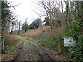 Forest track in Coed Cwm in LL17 0TD