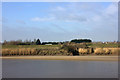 River Great Ouse, west bank in PE34 3NZ