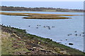 High tide at Farlington Marshes in Bedhampton Ward