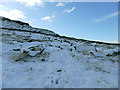 Boulders on the slope of Addingham High Moor in LS29 9JX