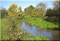 River Chess near Rickmansworth in WD3 3FF